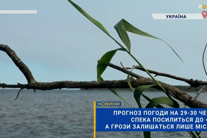 Погляд — новини Київщини онлайн - a22256fa-866b-40f5-9166-5bedc031623c - зображення